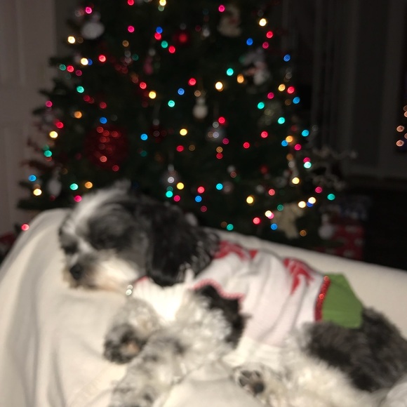 Welcome to my Posh Shop! ❤️ - Picture 4 of 11